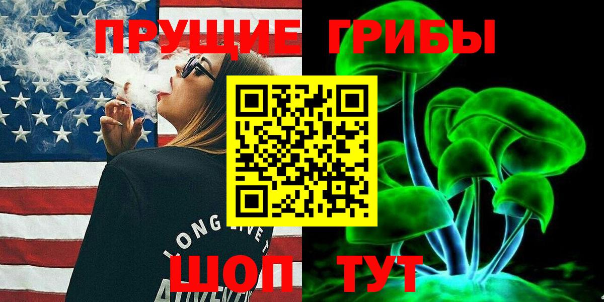 Гусиноозёрск  где продают наркотики  Вход с VPN  Галлюциногенные грибы прущие грибы  Псилоцибиновые грибы мицелий 